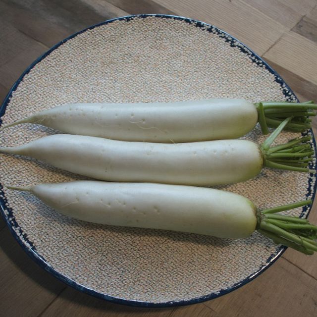 2026 High Quality Large Organic Fresh Radish DirectPremium Fresh Radish for Wholesale Naturally Grown Root Vegetables Reliable Supply for International Buyers - Image 3
