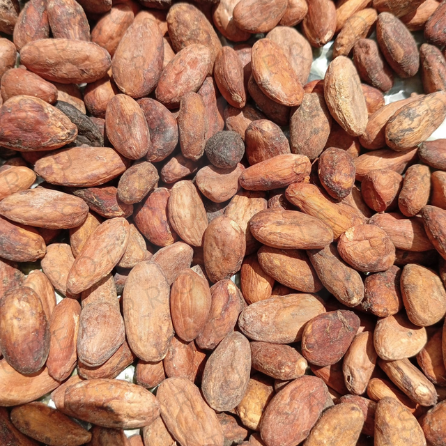 Flavor Cocoa Single Origin Madagascar Cacao Beans - Image 3
