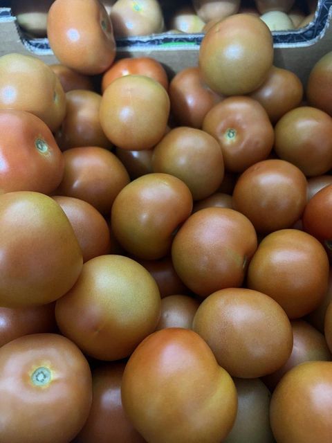 Tomatoes - Image 1