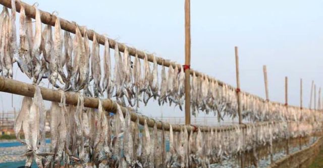 Premium Ribbon Fish from Bangladesh – Fresh Seafood Export Supply - Image 3