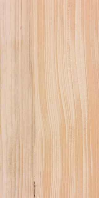 Premium Balsam Fir Wood Logs Wholesale Fast Delivery Stock Transport Destination Asia Transport Means Airplane, Freight Train - Image 4