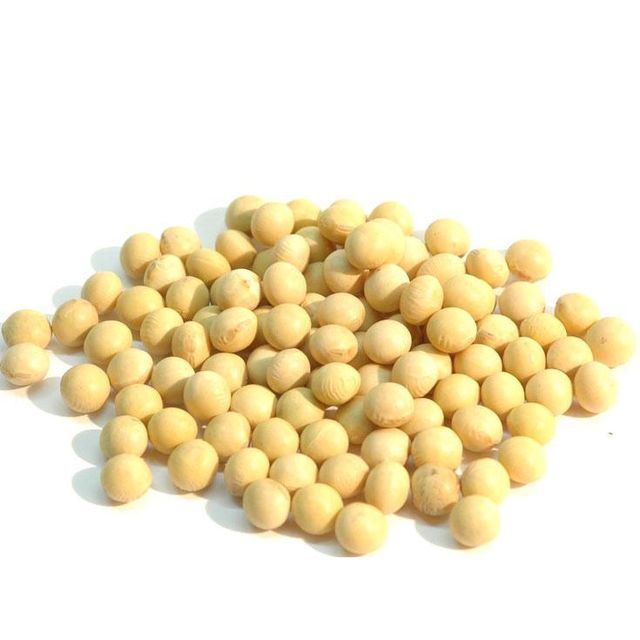 Wholesale GMO and Non GMO Soyabean / Soybeans Exporters – product photo 4, product detail gallery