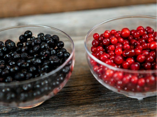 Frozen Wild Blueberry - Image 3