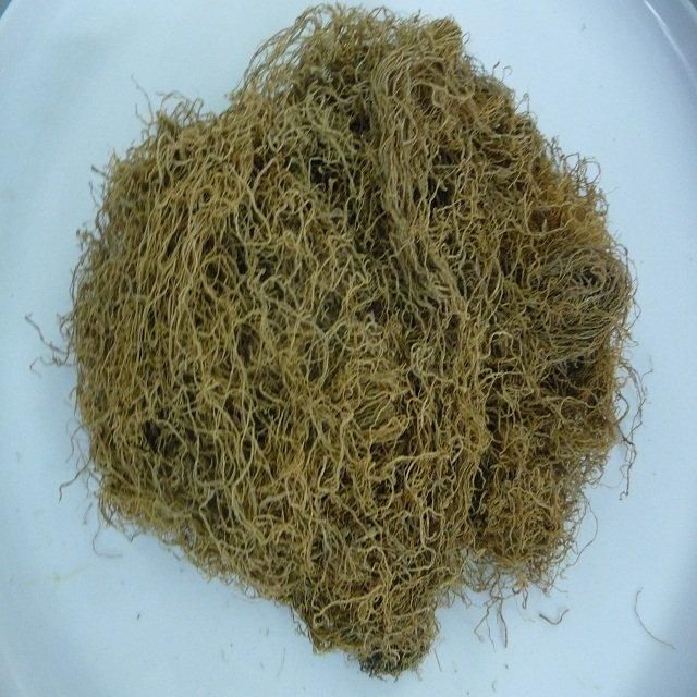 MANY KIND OF SEAWEEDS WITH BEST QUALITY Type Seaweed Model Number GW14 Packaging Details BAG Place of Origin Ho Chi Minh City, - Image 1