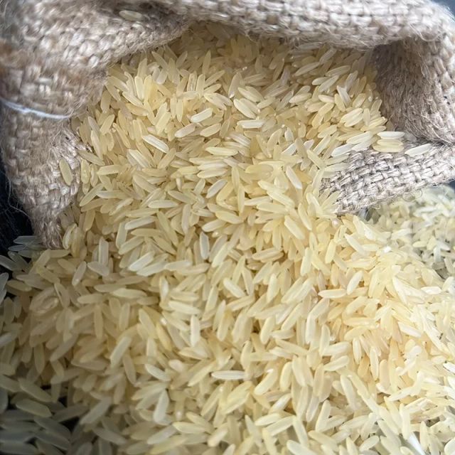 Premium Non-Basmati Rice IR64 Non-Basmati Rice Sona Masoori Rice IR8 & Other Premium Non-Basmati - Image 3