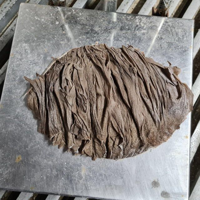 High Quality Veal Tripe Frozen Beef Omasum | Frozen Beef Tripe in Bulk Price and premium Packaging - Image 4