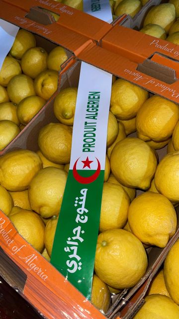 Fresh Algerian Yellow Lemon - Image 1