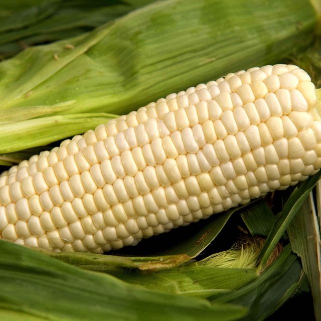 Export Top Selling White Maize Corn/ White Corn Material Maize Grade Feed grade Max. Moisture (%) 5 Shelf Life 12 months - Image 3