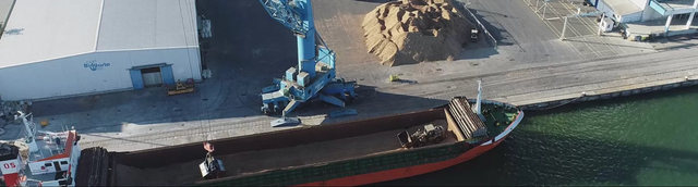 Wood Chips Hardwood, 97% pure Dust Content Low Certification ISO Bark Content 2.9% Max. Moisture (%) 40% Moisture Content 30–40% - Image 3
