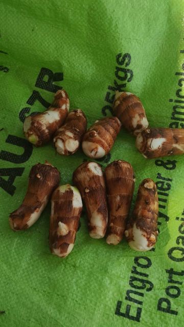 Vegetables – product photo 15, product detail gallery