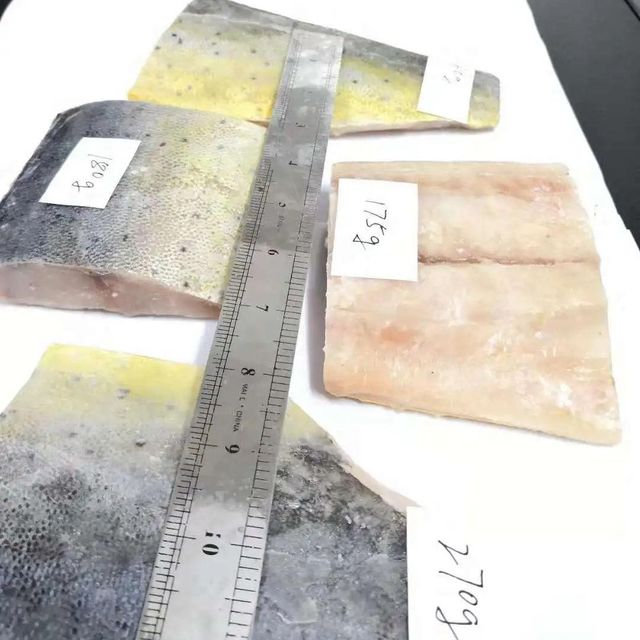 Frozen Mahi Mahi Fish Premium Skinless Fillets With Firm Texture And Fresh Ocean Flavor For International Buyers - Image 1