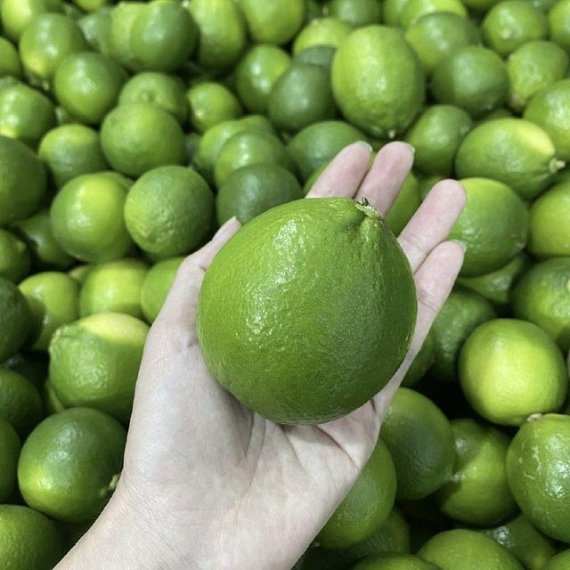 seedless lemon CHEAPEST PRICE Export quality Seedless lemon from Vietnam of the highest quality FREE TAX - Image 3