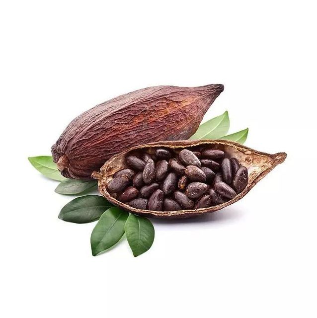 bulk cocoa beans for chocolate manufacturers bakeries and confectionery businesses premium dried cacao beans perfect for cocoa powder cocoa butter and dark chocolate production - Image 1