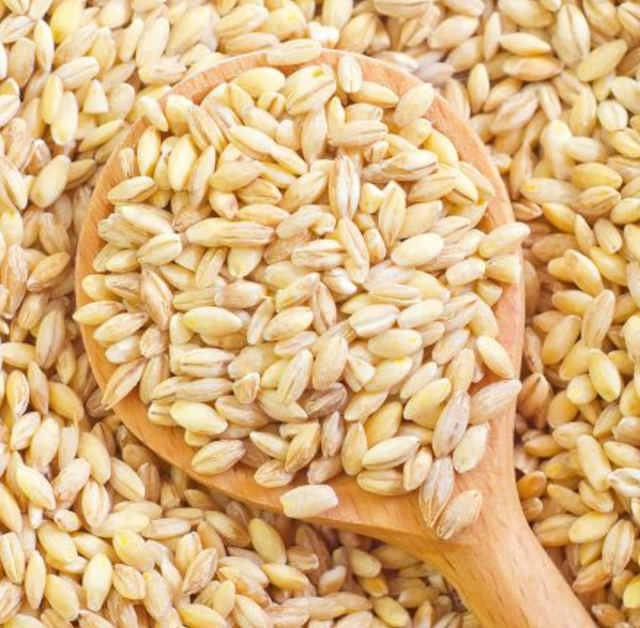Untreated, non-GMO wheat - Image 1