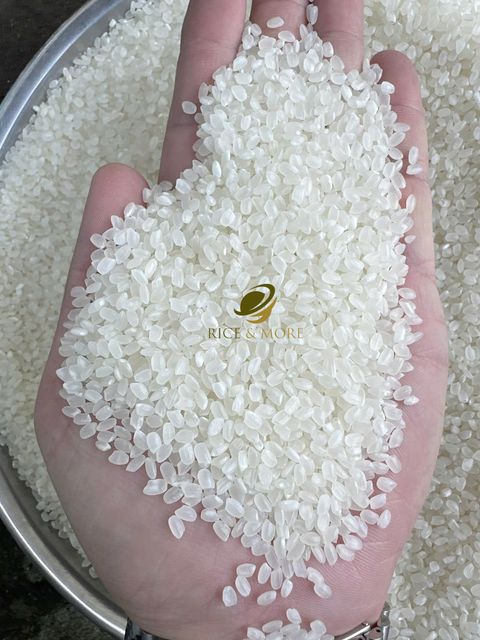 VIETNAM JAPONICA / SUSHI RICE 5% BROKEN DIRECT FROM FACTORY TOP RICE PRODUCER IN VIETNAM WHOLESALE RICE - Image 1