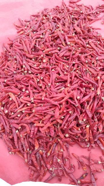 Red dried chillies Place of Origin Pakistan Grade A + graded red dried chillies Packaging Details On buyer - Image 4