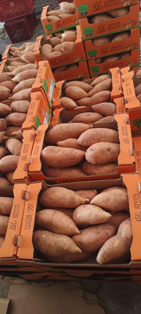 sweet potato – product photo 2, product detail gallery