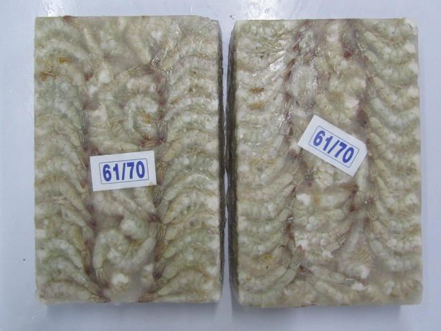Shrimps and squid - Image 4