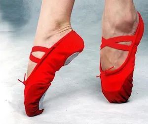 Ballet Dance Shoes BL 1  - Image 1