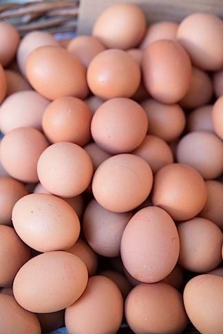 Superior Rose Island Hatching Eggs For Incubation Breeding And Poultry Hatchery Use - Image 5