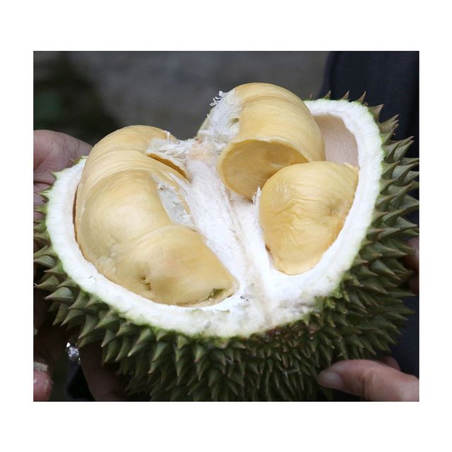 KWS New crop 2023 Fresh Durian Quality A Fresh Durian fruits for sale - Image 1