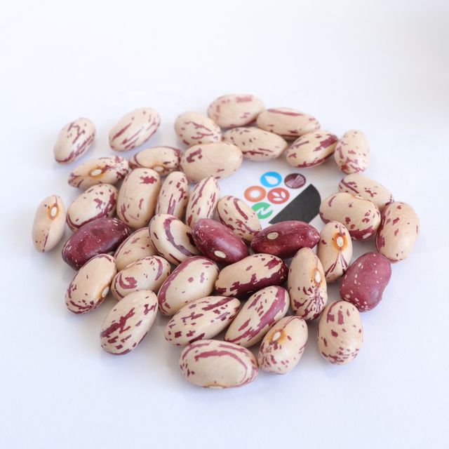 Wholesale Cranberry Jugo Red Speckled Kidney Beans Sugar Pinto Beans For Canned Food - Image 3