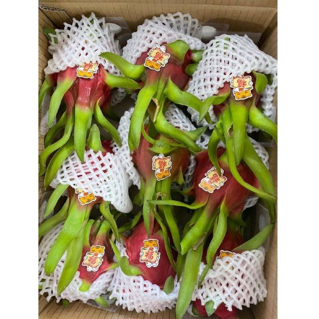 Export Standard Bulk Fresh Dragon Fruit Natural Sweet Taste Red and White Tropical Fruit 380-780g Agriculture Grade – product photo 1, product detail gallery