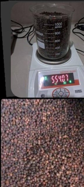 Whole Black Pepper Indonesia GL.550 - Image 1