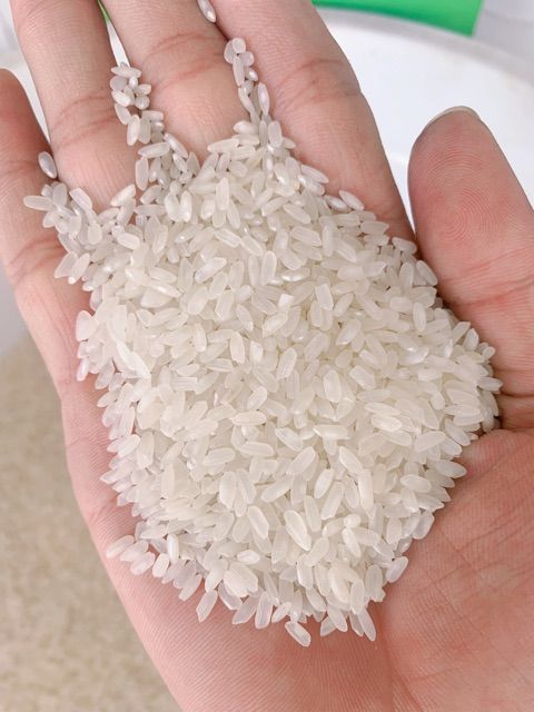 Jasmine Rice Fragrant new crop RIZ AU JASMIN ARROZ Strong Perfume Rice Long Grain Max Sortex LINDA WHATSAP 0084 989 322 607 - Image 3
