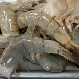 We are big suppliers of Frozen vannamei shrimp in Africa Whiteleg shrimp / Pacific white shrimp - Image 6