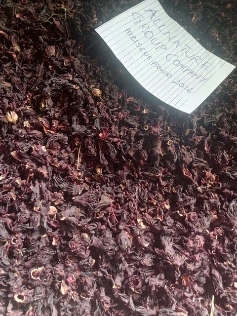 DRIED HIBISCUS FLOWERS SABDARIFFA - Image 4