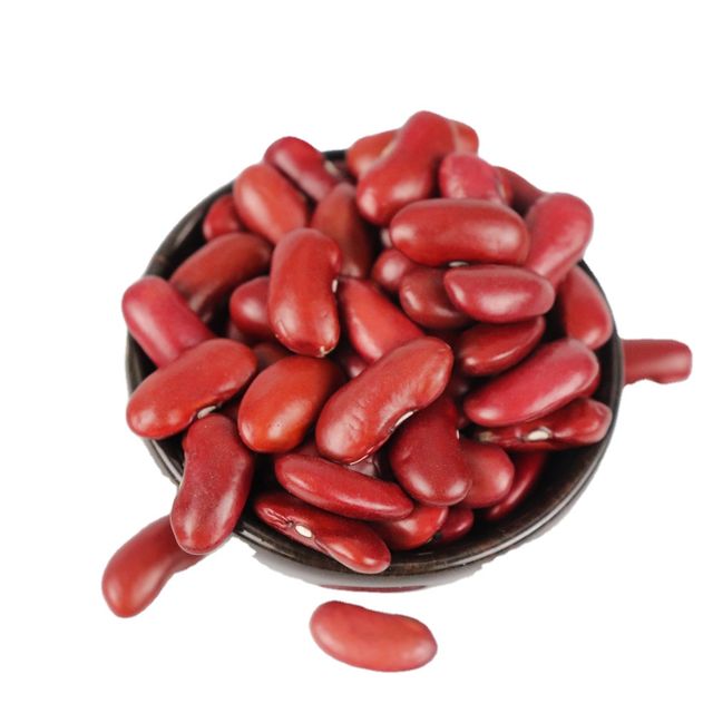 Red Beans 180-220 Big Size Kidney Beans Dark Red Kidney Beans Market Price - Image 1