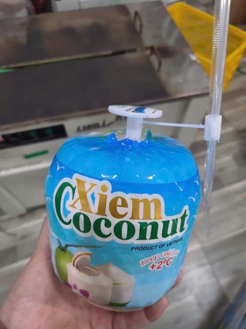Easy open coconut + plastic straw - Image 4