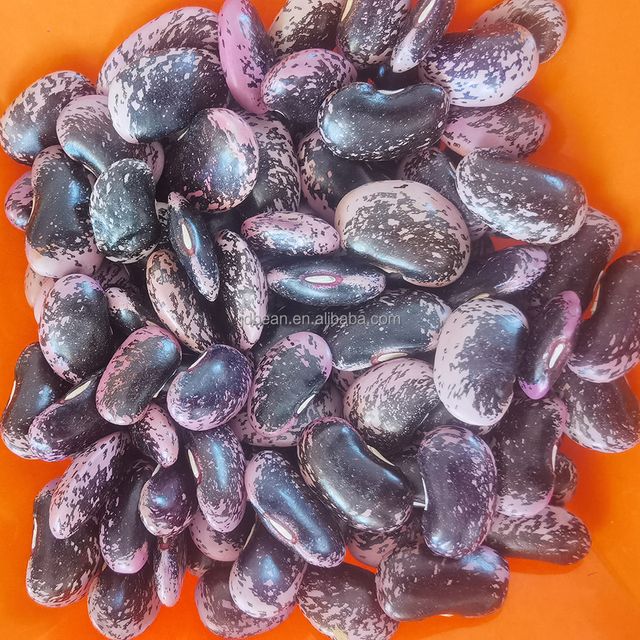 Black And Pinto Beans Yunnan Dried Large Black Speckled Kidney Bean - Image 6