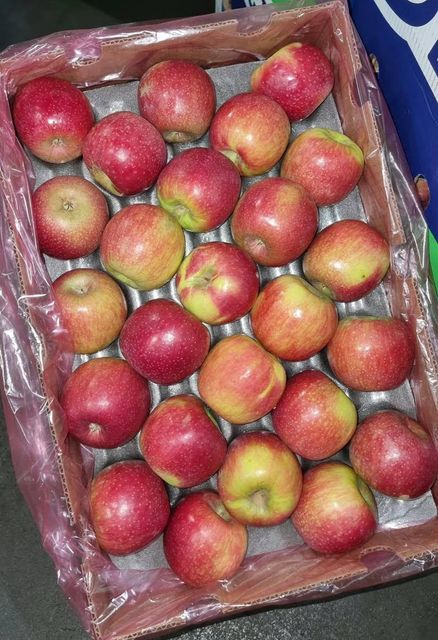 FRESH CRIPPS PINK APPLES FOR SALE!! CLASS 1 EXPORT QUALITY CRIPPS PINK APPLES READY FOR EXPORT – product photo 4, product detail gallery