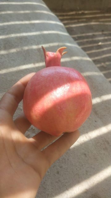 Fresh Fruits - Image 2