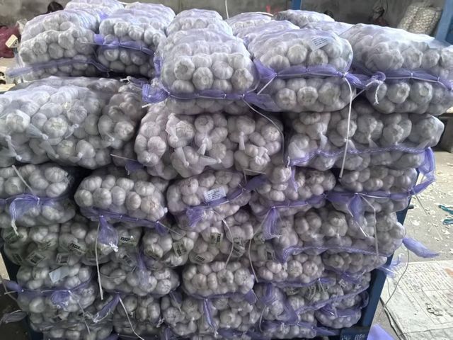 Premium Chinese Fresh White Garlic, Competitive Wholesale Price Direct from Origin - Image 4