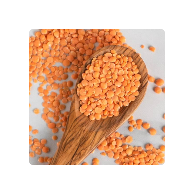Wholesale Price Canadian Red Lentils / Split Red Lentils Available for Sale at Low Price, Fresh Red Lentil for Europe Bulk - Image 5