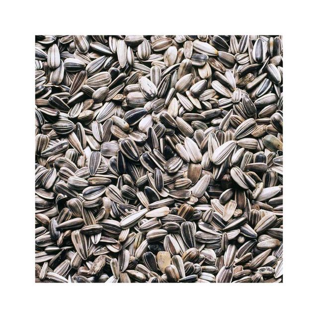 Low price Sunflower Seeds bulk supply wholesale high nutrition export ready Wholesale Sunflower Seeds - Image 1