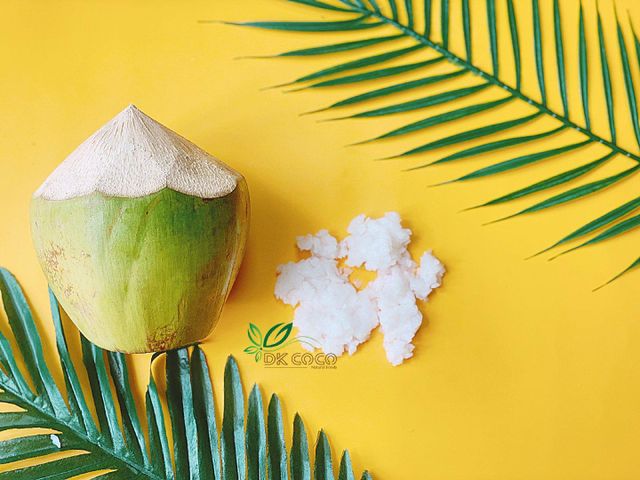 COMPRESSED NATA DE COCO SHEET size 23*33*1 cm (CNAS-10) - Image 3