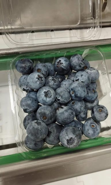 BLUEBERRIES FRESH BOX 1.5 KG Origin PERU Packaging 1.5 Drying Process FRESH Degree of Processing Other Material FOOD-GRADE CLAMSHELL - Image 2