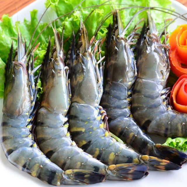 Frozen Fresh Shrimps High Protein Seafood Ingredient With Excellent Freshness Preservation And Export Market Acceptance - Image 4