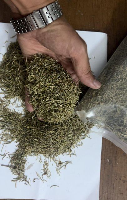 Herbs - Image 1