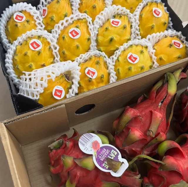 Premium Fresh Harvest Dragon Fruit Export Quality 9kg Dragon Fruit Sale - Image 2