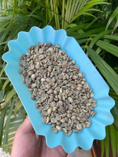 VIETNAM GREEN COFEE BEANS ROBUSTA & ARABICA EXORT QUALITY Organic No, Yes Decaffeinated No Degree of Processing Raw Bean Type Arabica, Robusta - Image 3