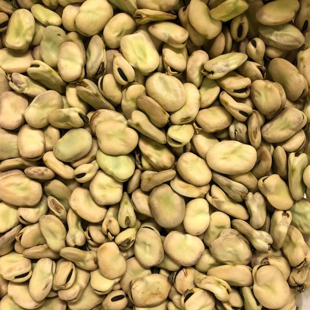 High Quality Broad Beans/ Fava Beans - Image 1