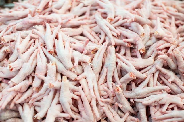 Freshly Processed Frozen Chicken Feet – Halal & Nutritious for Wholesale - Image 4