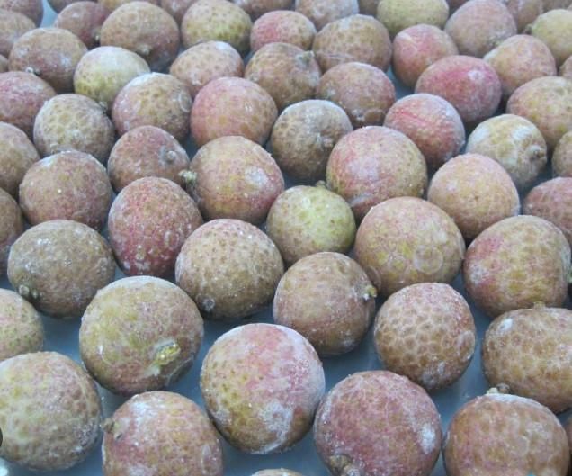 Frozen lychee Shelf Life 1 Year Flavor Natural, Icy Seasonality All Year Processing Method Iqf Ingredients 100% Lychee Lychee Variety Thieu - Image 1