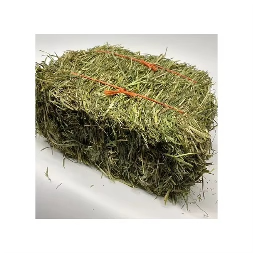 Nutrient Rich Alfalfa Hay For Animal Feeding Delivering Balanced Protein Fiber And Energy Content - Image 4