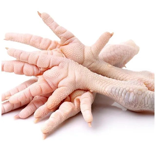 Wholesale Fresh Chicken Frozen Chicken paws For Good Price - Image 2